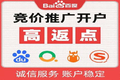 成功SEM托管案例解析